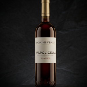 Domìni Veneti Valpolicella Classico