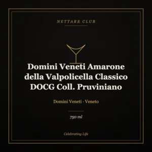 Domini Veneti Amarone della Valpolicella Classico DOCG Coll. Pruviniano