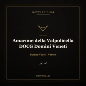 Amarone della Valpolicella DOCG Domini Veneti